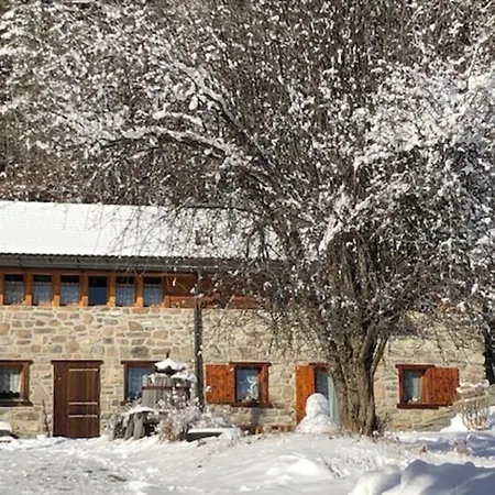 A L'Oree Du Bisse Anzère Exterior foto
