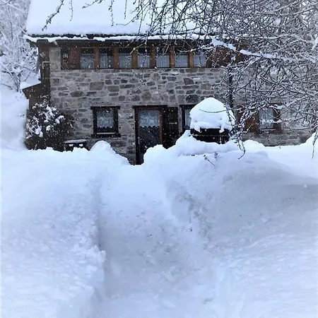A L'Oree Du Bisse Anzère Exterior foto