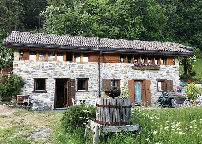 A l\'orée du bisse