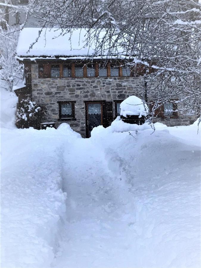 Chalet A L'orée Du Bisse Anzère